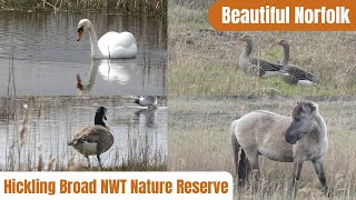 Hickling Broad NWT Nature Reserve [upl. by Barbaresi421]