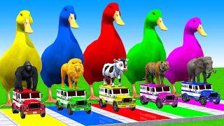 5 Giant Duck CartoonCowMammothDogTRexLionTiger Paint Wild Animals Crossing Fountain Animation [upl. by Nadaba]