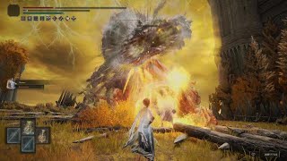 NG Nomad v Tree Root Field Boss  HEALER BUILD  ELDEN RING [upl. by Ginnifer]