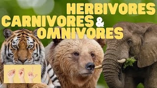 ASL Herbivores Carnivores and Omnivores for Kids [upl. by Cherian300]