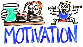 The Science Of Motivation [upl. by Ayela886]