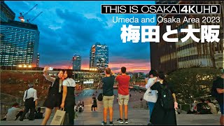 梅田と大阪 Umeda and Osaka Area 2023 [upl. by Yolande]