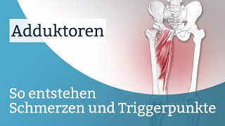 Adduktoren Schmerzen Triggerpunkte und deren Aktivierung [upl. by Travus]