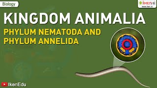 Kingdom Animalia Phylum Nematoda and Phylum Annelida  Biology  iKen  iKen Edu  iKen App [upl. by Pulling]