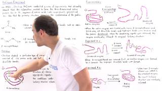 Anfinsens Experiment of Protein Folding [upl. by Isak]