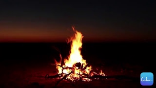 Camp Fire Soundscape for for Relaxing Focus or Deep Sleep [upl. by Wallie436]