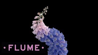 Flume  Tiny Cities feat Beck [upl. by Cassius]