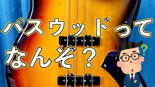 【ボディ材】バスウッドの良いところって？ 重さや音作りのしやすさ 改造の楽しさなんかについて解説してます ただの安いベース用の木材じゃない [upl. by Nike980]