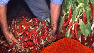 PIMENTÓN artesanal Cultivo ahumado y elaboración de este condimento natural culinario  Documental [upl. by Rennie]