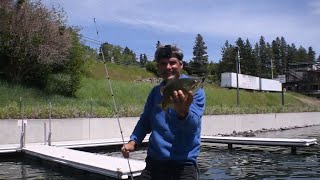 I fished Flathead Lake in Montana for the first time [upl. by Arahsak]