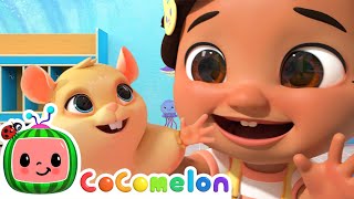 Jellybean Song  CoComelon Animal Time  Animal Nursery Rhymes [upl. by Cordula]