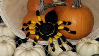 Crochet spider 🕷 Video1 legs and pedipalps [upl. by Ecnedurp]