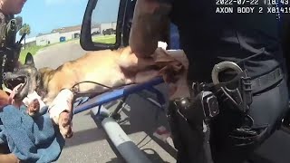 ‘Get him out of here now’ Bodycam shows moments officers save K9 shot while going after suspects [upl. by Enelrahs]