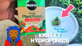 Mirical Grow Tomato Formula vs Masterblend Kratky Method Hydroponics p1 [upl. by Yzzik]