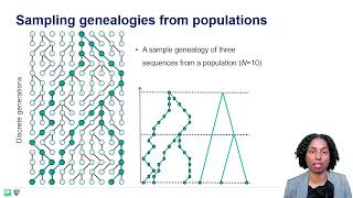 Phylodynamics 101 Coalescent Theory Recombination Reassortment [upl. by Eluj]