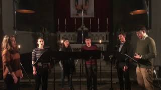 I wonder as I wander  Owain Park  Tenebrae Associate Artists 2018 [upl. by Nedyah]