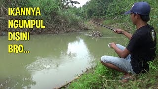 Mancing Strike Terus Saat ikan Ngumpul di Sini Bro [upl. by Ahsatam]