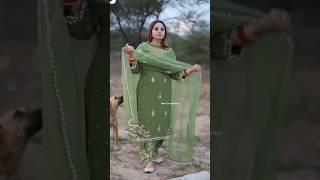 Punjabi suittrendingsuits punjabi suit suitdesign fashion latest suitdesign2024 suitlover [upl. by Ebag430]