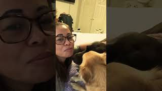 Mowgli kissed me Sweet🐕🥰youtube dog youtubeshorts shortvideo viralvideo video ytshorts yt [upl. by Gaudette945]