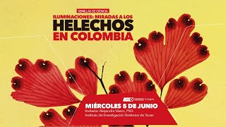 Iluminaciones Miradas a los Helechos en Colombia [upl. by Nij]