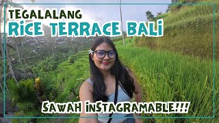 SAWAH HITS DI UBUD BALI  TEGALALANG RICE TERRACE [upl. by Elcin]