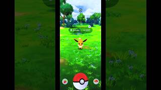 Today I Catch a Eevee in Pokemon GO Indonesia  Shorts  Shorts Eevee PokemonGOGameplay [upl. by Aek]