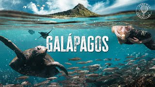 Galapagos Islands  How is this Real Life [upl. by Auqenes]