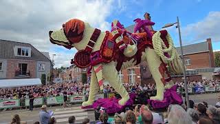 Bloemencorso Loenhout 2024 [upl. by Eniliuqcaj656]