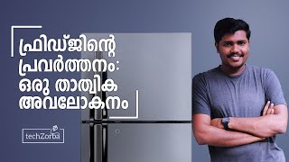 Refrigerator Working in Malayalam  ഫ്രിഡ്ജിന്റെ പ്രവർത്തനം [upl. by Theresa]