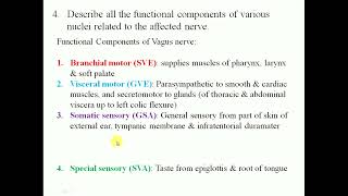 Clinical Anatomy scenariobased problem solving cases Head amp Neck5  By Dr Mitesh Dave [upl. by Naarah462]