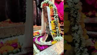 bholenath shivsankar shiv ytshorts ytviral yt shiv bholenath lord medsindia [upl. by Gide]