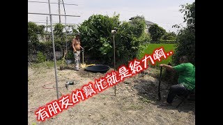 魚菜共生系統有朋友支援就一整個給力 [upl. by Ytsim]