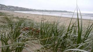 AUSTRALIA  GERROA  BEACH AND HEADLAND  HIKE [upl. by Domash]