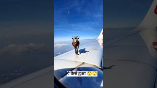 ये कैसे हुआ  हवाई जहाज के छत पर बकरी airoplane viralshorts 🙄🙄 [upl. by Farrel]