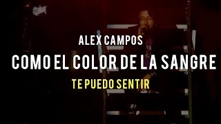 Como el color de la sangre Te puedo sentir  Alex Campos  Video Oficial [upl. by Dalton]