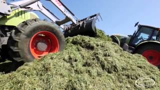 Réalisation Films Vidéo Agriculture ensilage RayGrass Italien ensileuse CLAAS Jaguar 940 [upl. by Nivled]