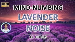 Mindnumbing Lavender Noise  12 Hours BLACK SCREEN  Study Sleep Tinnitus Relief and Focus [upl. by Nylhtak346]