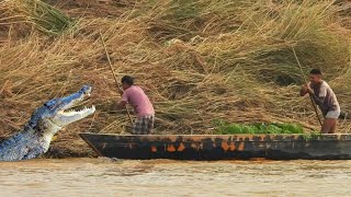 Boating in wildest river  crocodile attack  boat fishing river [upl. by Annaerda]