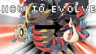 How To Evolve Feebas Into Milotic In Pokemon Diamond Pearl And Platinum Versions [upl. by Genevieve]