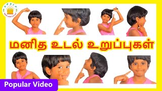 மனித உடல் உறுப்புகள் Learn body parts name in Tamil for kids and children  Tamilarasi [upl. by Cardew]