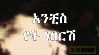 Sami Dan  Hoya Hoye  Lyrics Video  Blue Media PLC [upl. by Ybocaj]