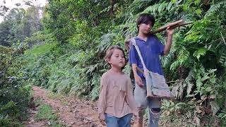 Today the two brothers went to the fields to spread flowers again [upl. by Wakeen]