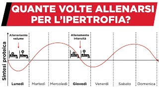 Quante volte allenarsi per la massa muscolare [upl. by Novhaj]