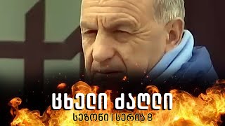 ცხელი ძაღლი  სეზონი 1 სერია 8 [upl. by Leopold742]