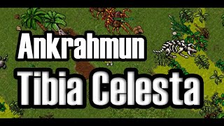 Tibia Celesta Ankrahmun  Bonebeast Hunt [upl. by Brendon]