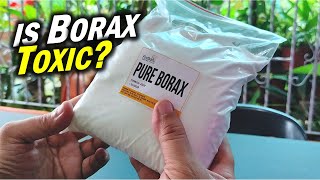 The Shocking Truth About BORAX Is It TOXIC or SAFE sodium tetraborate [upl. by Enimaj397]