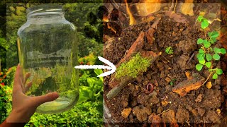 Let’s make a living whimsical forest in a jar 🪱🪲enclosed ecosystemterrarium tutorial FULL VID [upl. by Candis947]