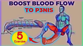 BEST 5 PELVIC FLOOR EXERCİSES FOR MAN  Exercise At Home [upl. by Haldes]