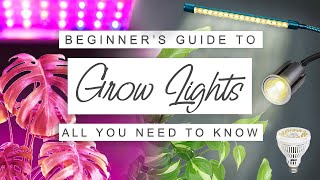 3 Easy Grow Light Set Ups for Starting Vegetable Seeds Indoors amp Lumens and Kelvin Explained [upl. by Eloci]