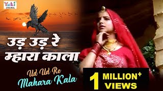 Rajasthani Song  उड़ उड़ रे म्हारा काला  Ud Ud Re Mahara Kala  Rajasthani Lokgeet  Ziiki Media [upl. by Rimisac133]